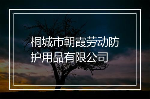 桐城市朝霞劳动防护用品有限公司