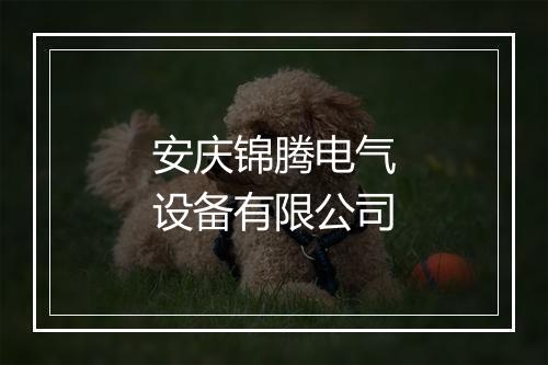 安庆锦腾电气设备有限公司