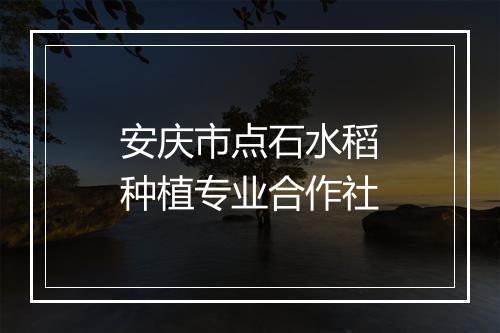 安庆市点石水稻种植专业合作社