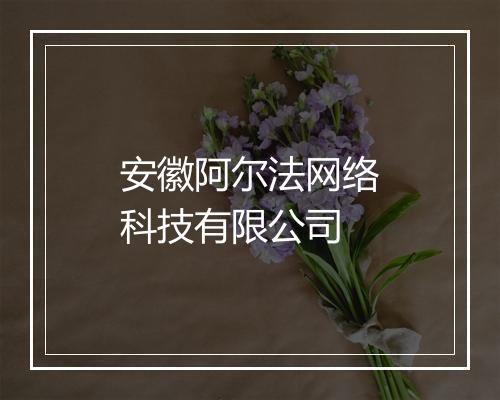 安徽阿尔法网络科技有限公司