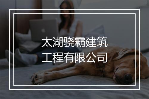 太湖骁霸建筑工程有限公司