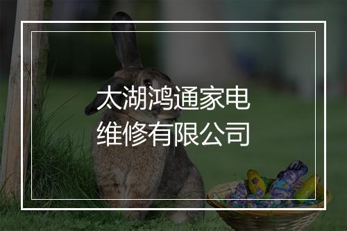 太湖鸿通家电维修有限公司