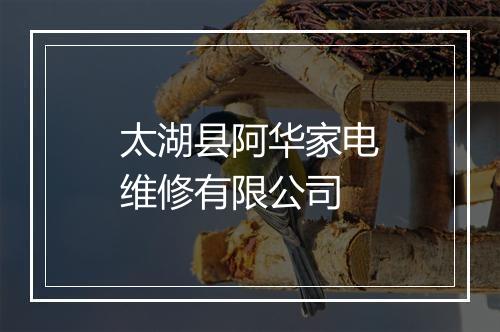 太湖县阿华家电维修有限公司