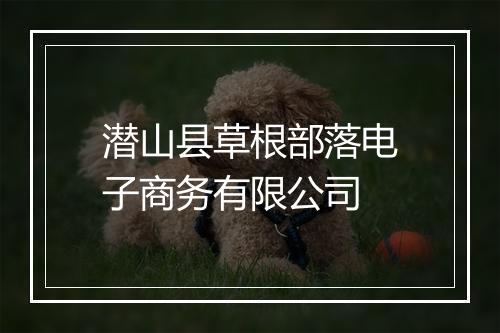 潜山县草根部落电子商务有限公司