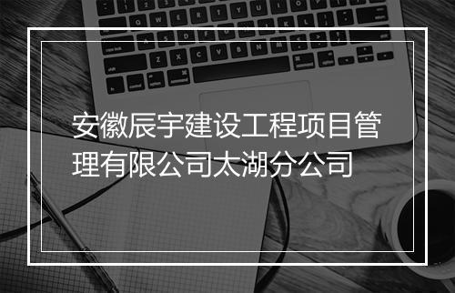 安徽辰宇建设工程项目管理有限公司太湖分公司