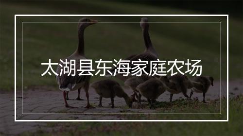 太湖县东海家庭农场