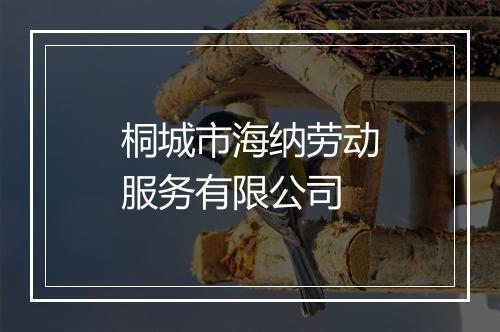 桐城市海纳劳动服务有限公司