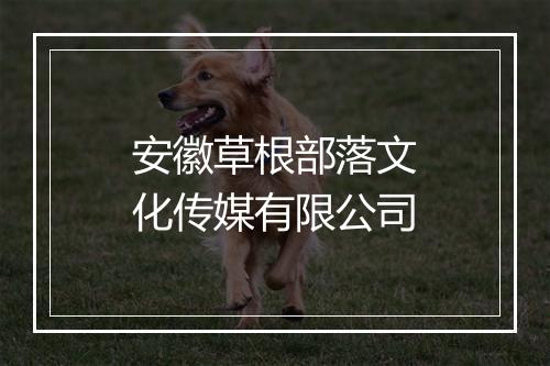 安徽草根部落文化传媒有限公司