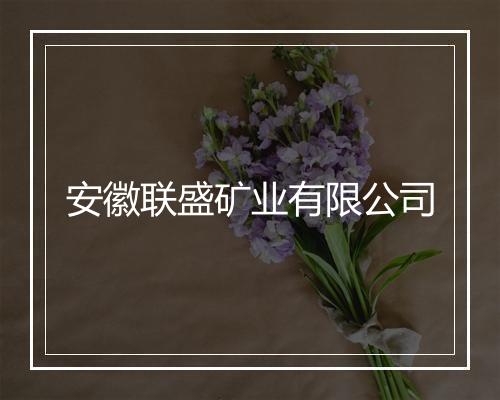 安徽联盛矿业有限公司