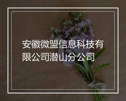 安徽微盟信息科技有限公司潜山分公司