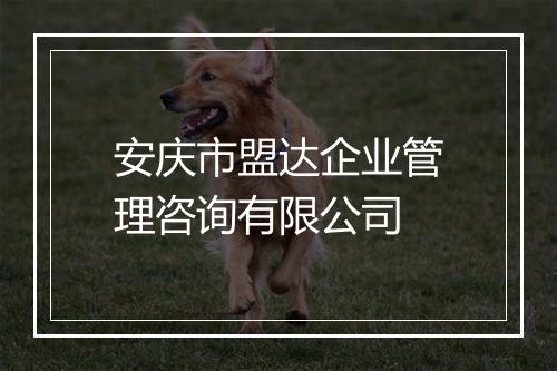 安庆市盟达企业管理咨询有限公司