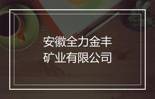 安徽全力金丰矿业有限公司