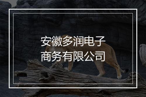 安徽多润电子商务有限公司