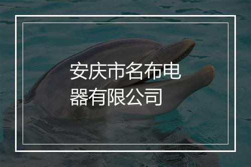 安庆市名布电器有限公司