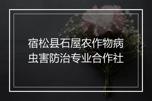 宿松县石屋农作物病虫害防治专业合作社