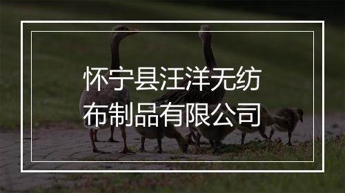 怀宁县汪洋无纺布制品有限公司