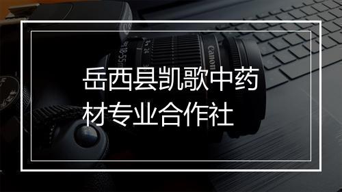 岳西县凯歌中药材专业合作社