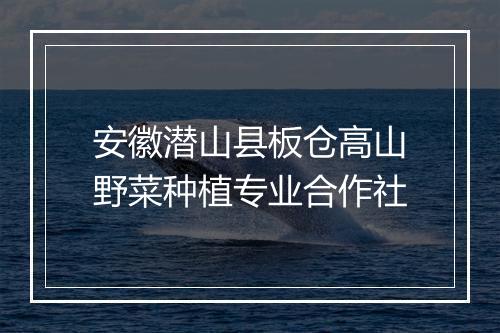 安徽潜山县板仓高山野菜种植专业合作社