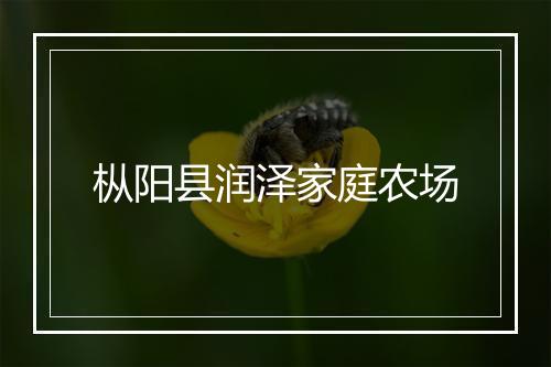 枞阳县润泽家庭农场