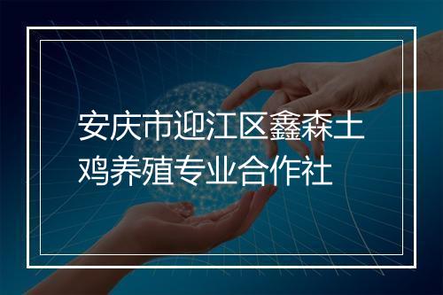 安庆市迎江区鑫森土鸡养殖专业合作社