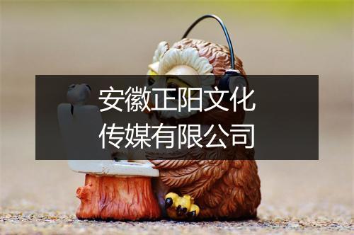 安徽正阳文化传媒有限公司
