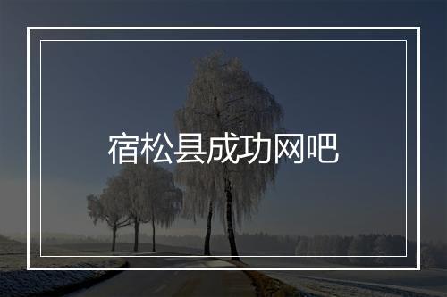 宿松县成功网吧