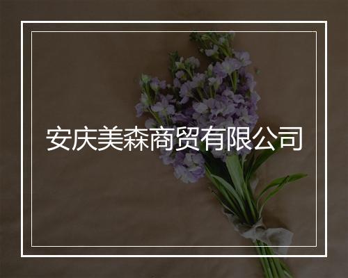 安庆美森商贸有限公司
