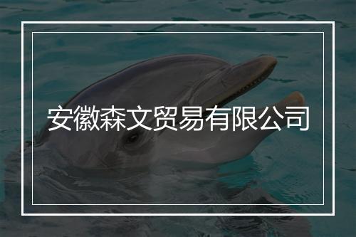 安徽森文贸易有限公司