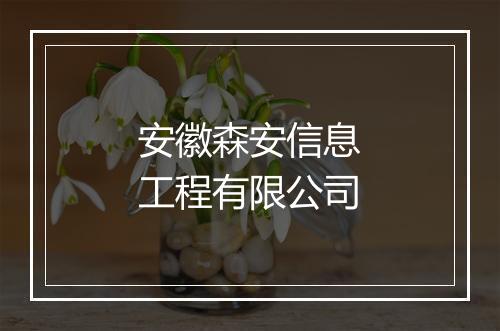 安徽森安信息工程有限公司