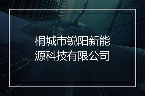 桐城市锐阳新能源科技有限公司