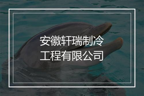 安徽轩瑞制冷工程有限公司