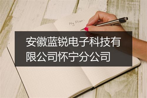 安徽蓝锐电子科技有限公司怀宁分公司