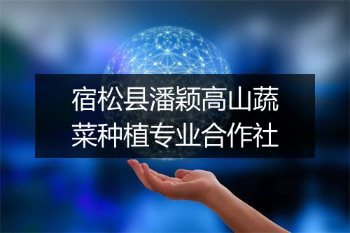 宿松县潘颖高山蔬菜种植专业合作社