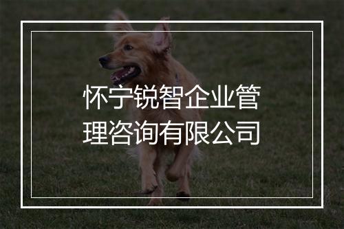 怀宁锐智企业管理咨询有限公司