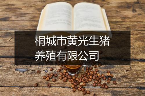 桐城市黄光生猪养殖有限公司