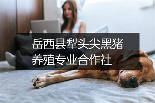 岳西县犁头尖黑猪养殖专业合作社