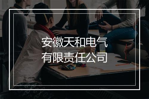 安徽天和电气有限责任公司