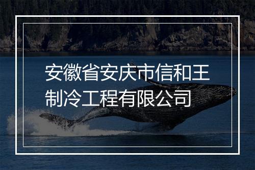 安徽省安庆市信和王制冷工程有限公司