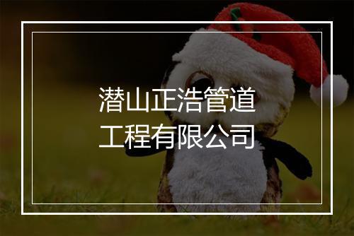 潜山正浩管道工程有限公司