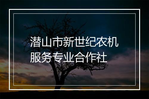 潜山市新世纪农机服务专业合作社