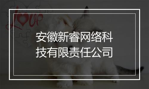 安徽新睿网络科技有限责任公司