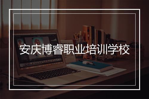安庆博睿职业培训学校
