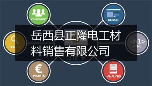 岳西县正隆电工材料销售有限公司