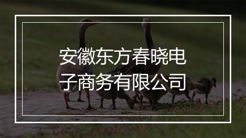 安徽东方春晓电子商务有限公司