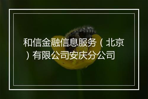 和信金融信息服务（北京）有限公司安庆分公司