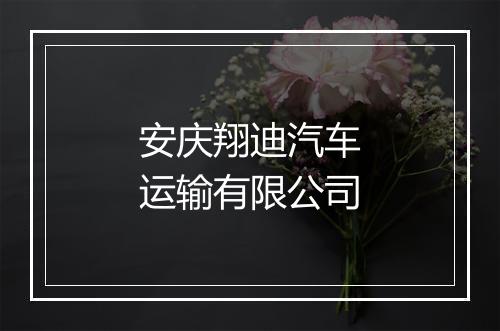 安庆翔迪汽车运输有限公司