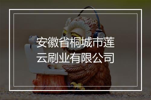 安徽省桐城市莲云刷业有限公司