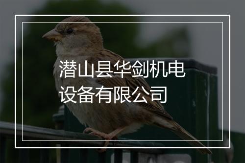 潜山县华剑机电设备有限公司