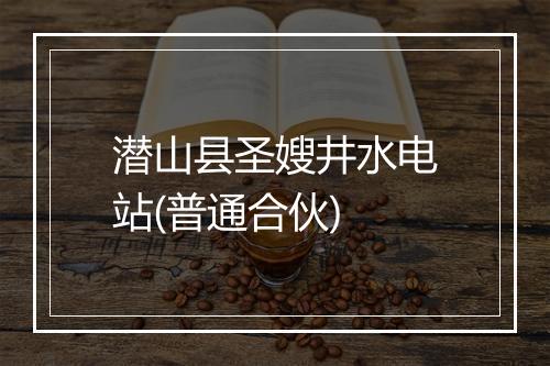 潜山县圣嫂井水电站(普通合伙)
