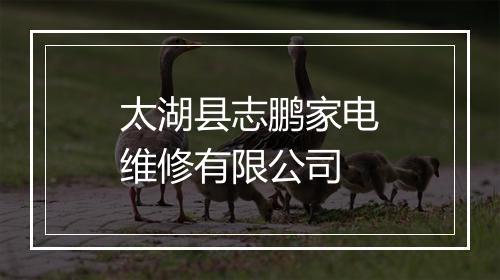 太湖县志鹏家电维修有限公司